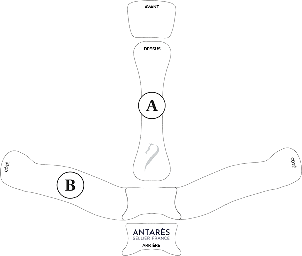 Ilustración de la guía de tallas para Accesorios de protección para jinetes Antares