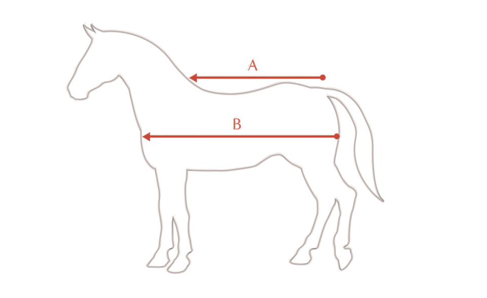 Ilustración de la guía de tallas para Cobertura LeMieux LeMieux