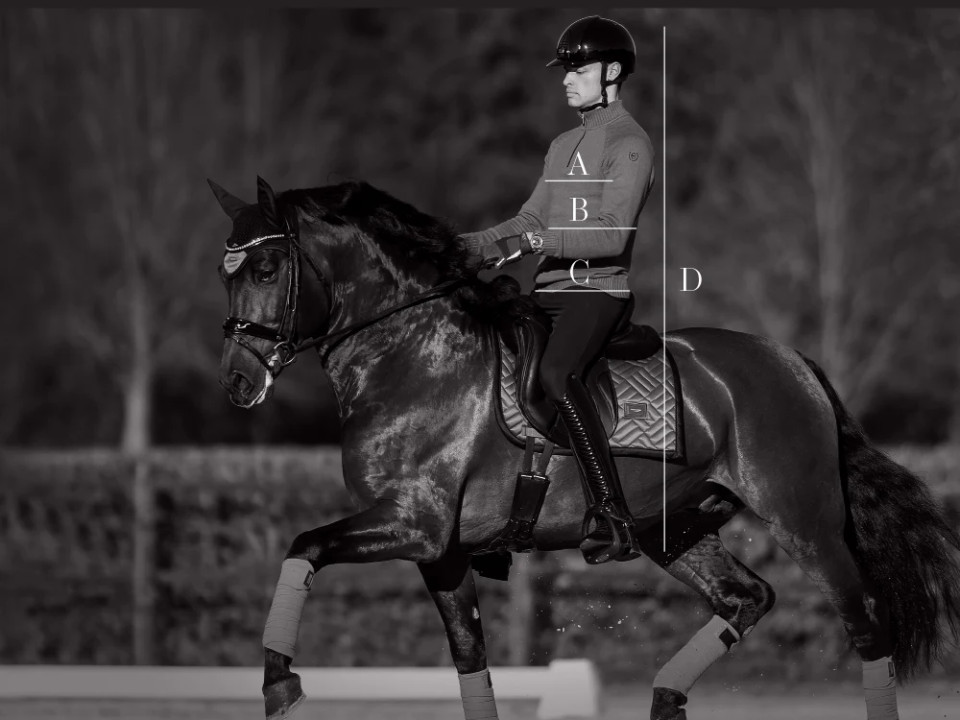 Ilustración de la guía de tallas para Polo, camisa y camiseta Equestrian Stockholm