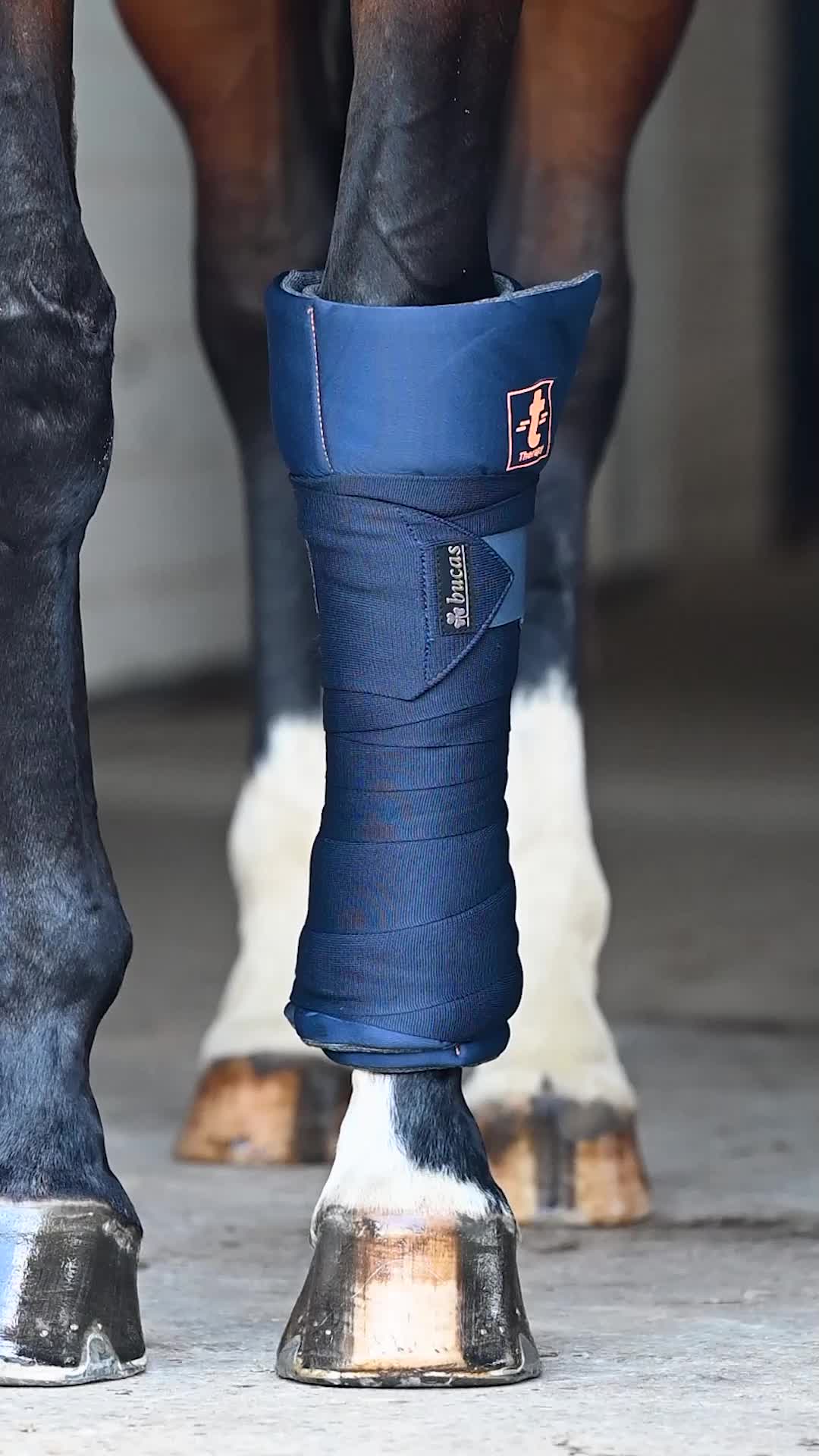 Bucas Therapy banadage